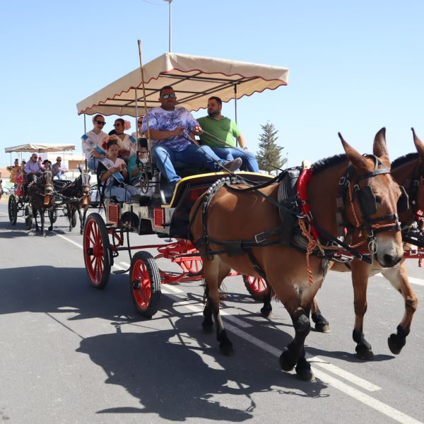 El XXIX encuentro de carruajes recorre las calles de San Pedro del Pinatar desde la Real Feria de Ganado hasta las playas