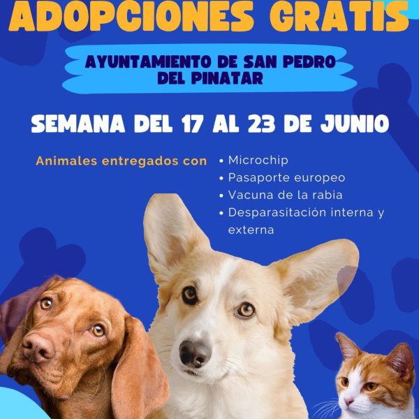 El Ayuntamiento y Esprineco ponen en marcha una nueva campaña de adopciones gratuita 