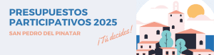 Presupuestos Participativos 2025 – presentación propuestas