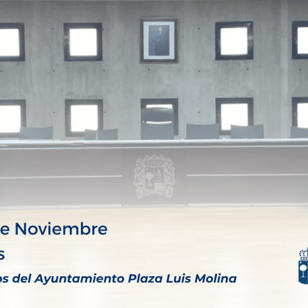 Convocatoria del pleno ordinario de noviembre